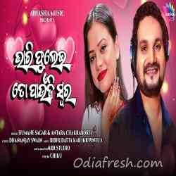 Vari Fulei To Paunji Swara